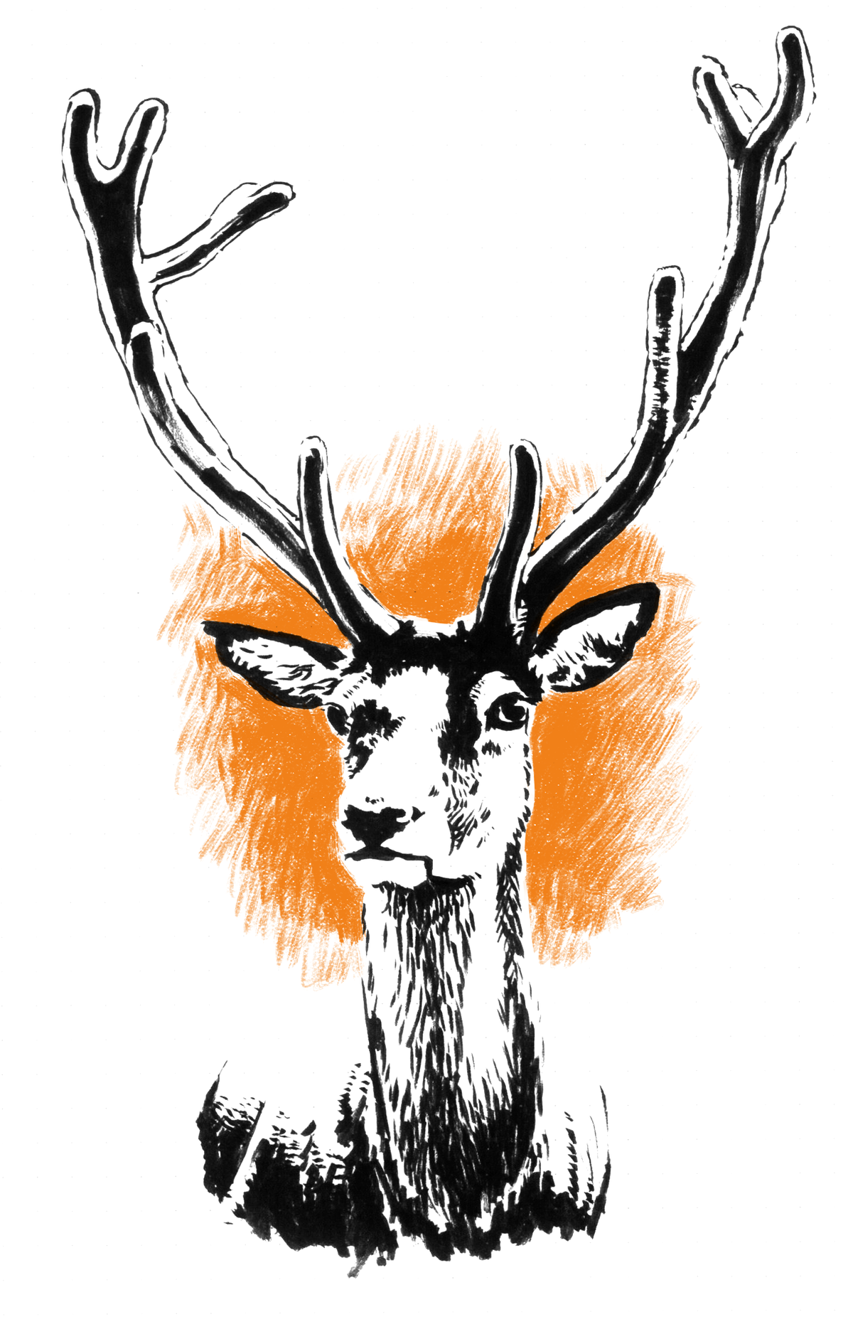 Stag