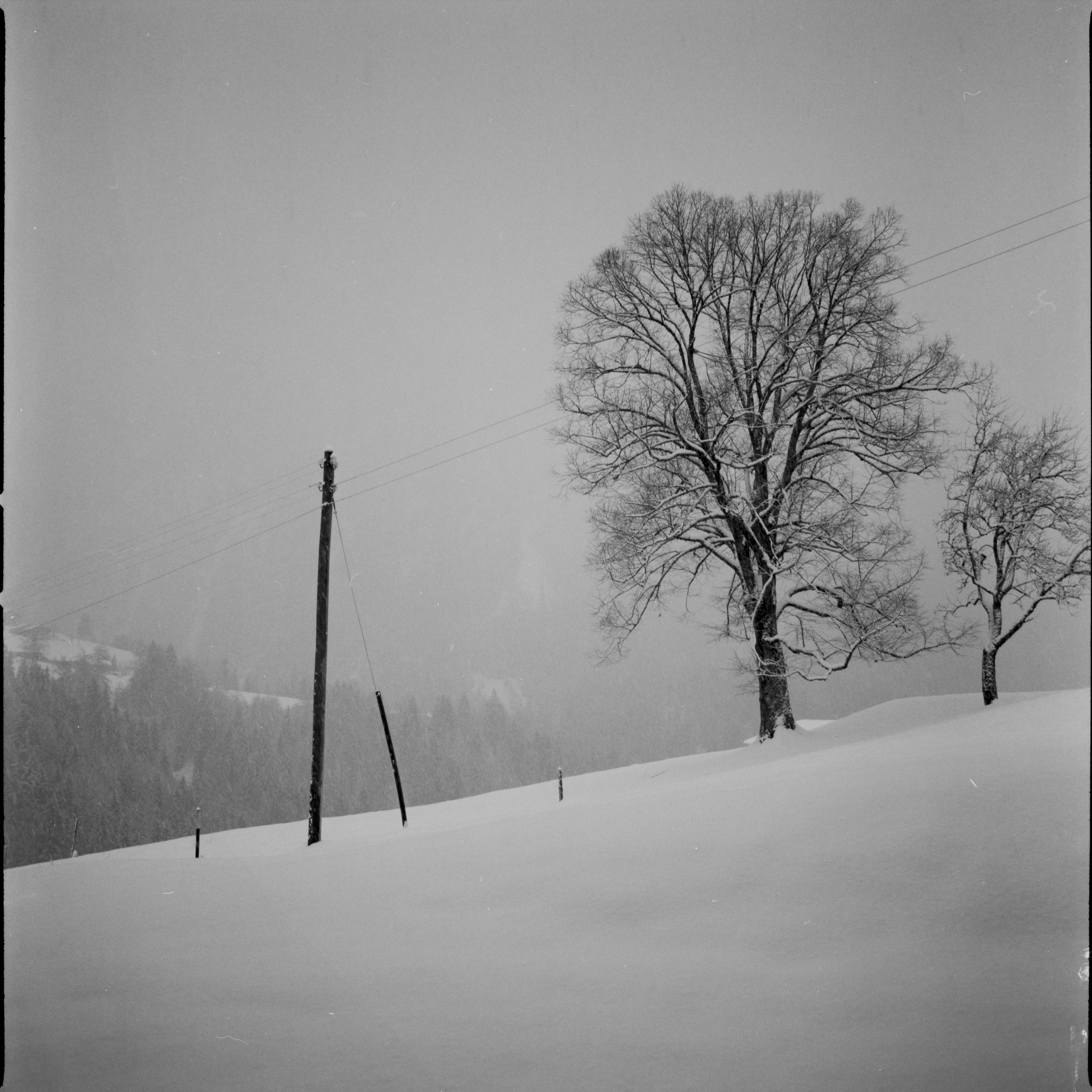 Immersed into the white